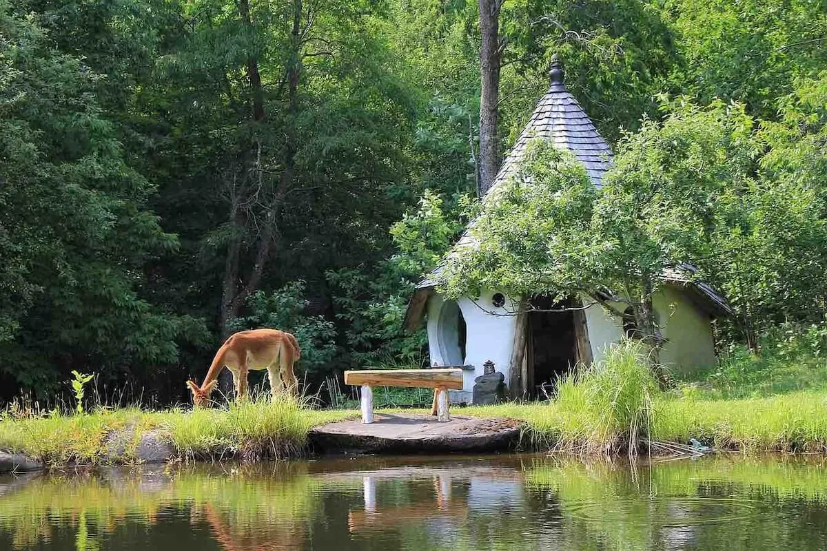 A quirky cottage overlooks a calm pond, with a bench set for peaceful contemplation. Grazing deer nearby and the serene water’s edge create a setting ideal for meditative reflection and gentle connection with nature.
