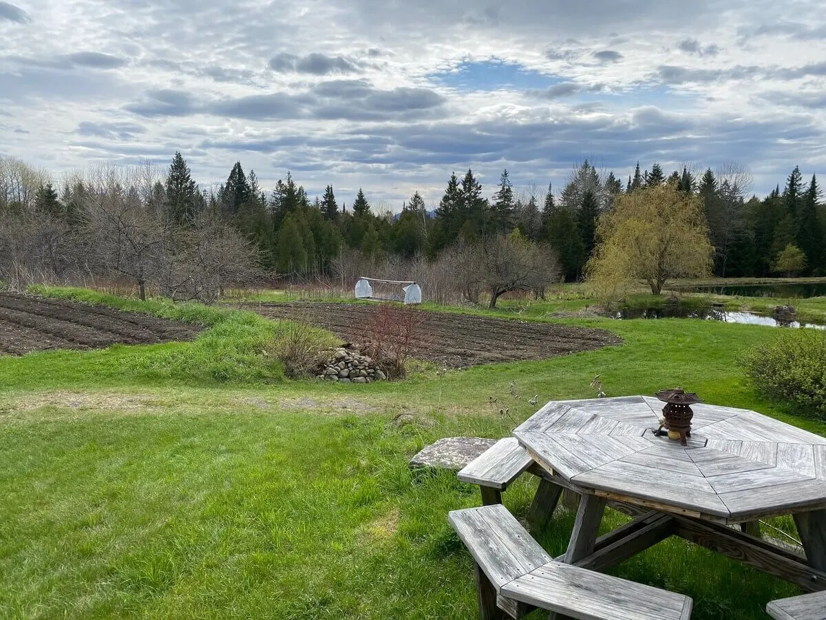 A rustic wooden picnic table sits beside garden beds, overlooking a peaceful pond bordered by leafy trees. The relaxed setup invites guests to gather for picnics, stargazing, or casual meals, while the surrounding greenery and calm water make nature feel immersive and restorative.