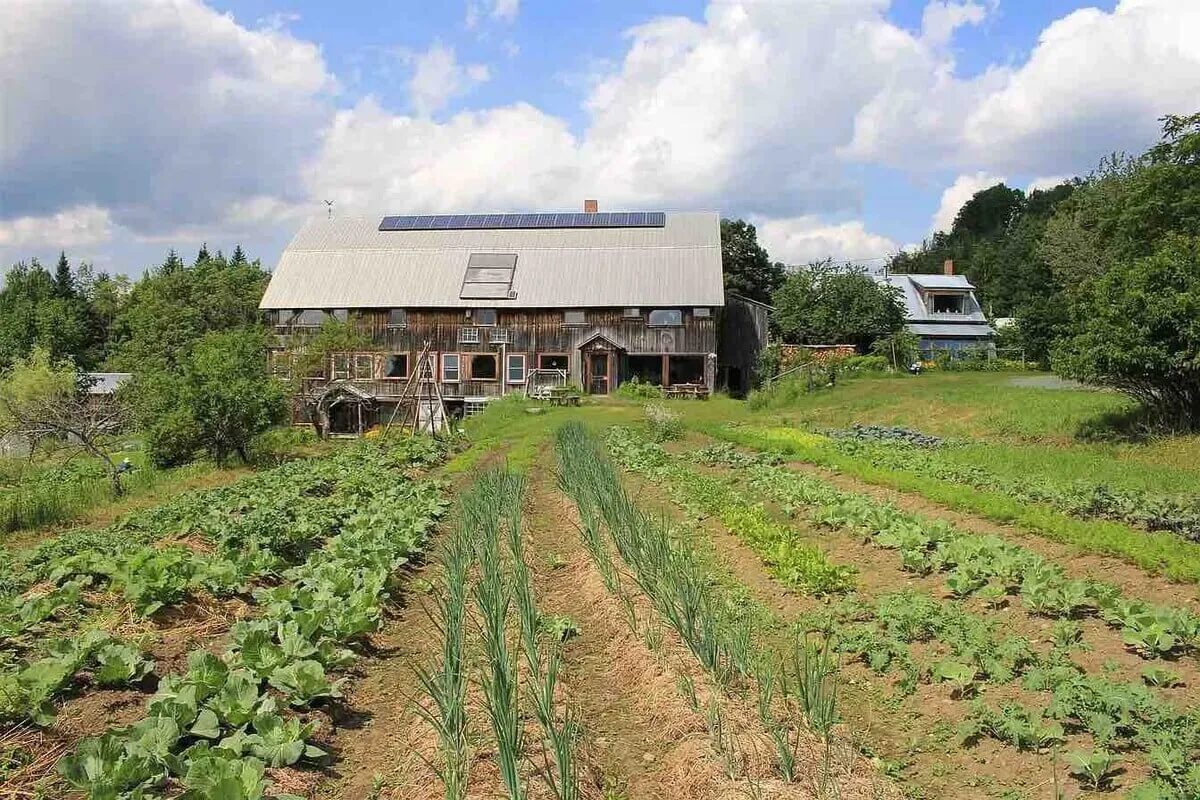 The image features a beautifully renovated barn surrounded by a vibrant vegetable garden and lush Vermont greenery. Solar panels glint atop the rustic structure, suggesting sustainability. The scene radiates wholesomeness and productivity, inviting guests to connect with nature, enjoy outdoor gatherings, and experience farm-to-table living.