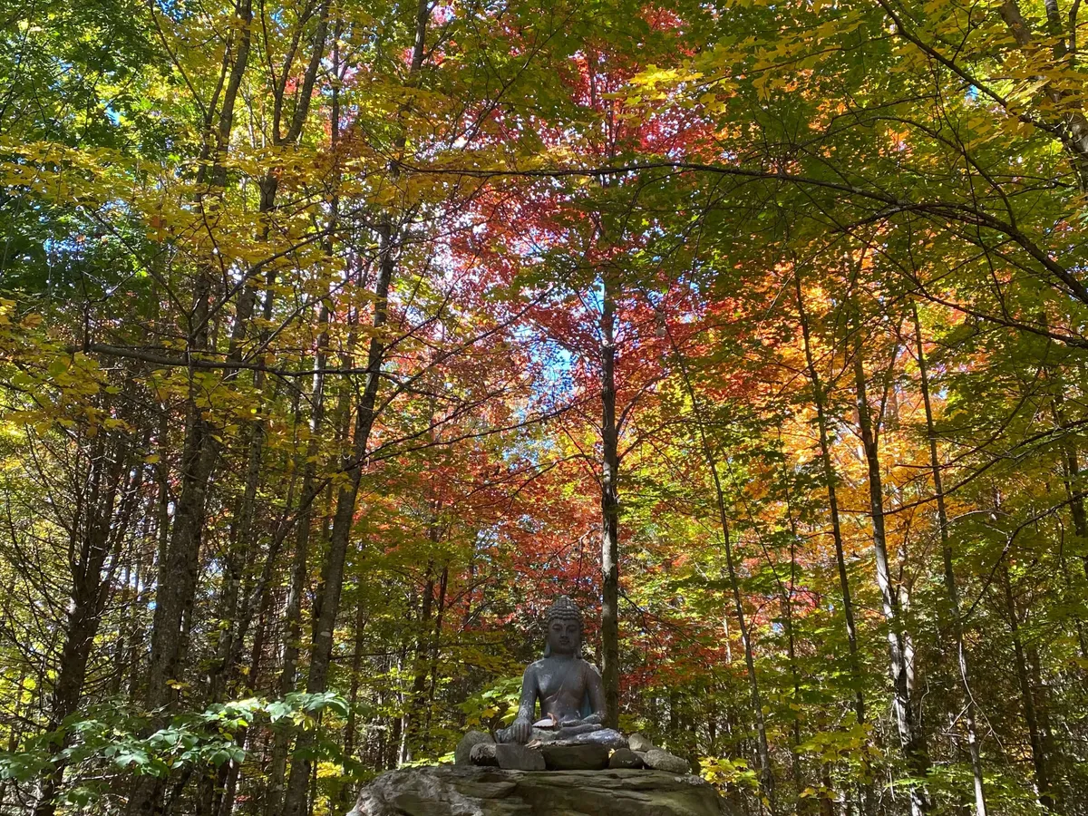 An outdoor Buddha statue set amidst colorful foliage and rocks, offering a tranquil, contemplative scene ideal for meditation and quiet reflection. The natural light and surrounding nature create an atmosphere of peace and serenity.